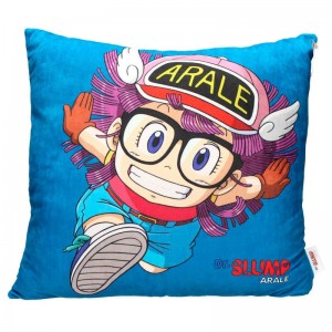 Cojin Arale Dr Slump